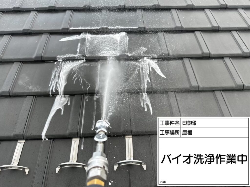 屋根バイオ洗浄