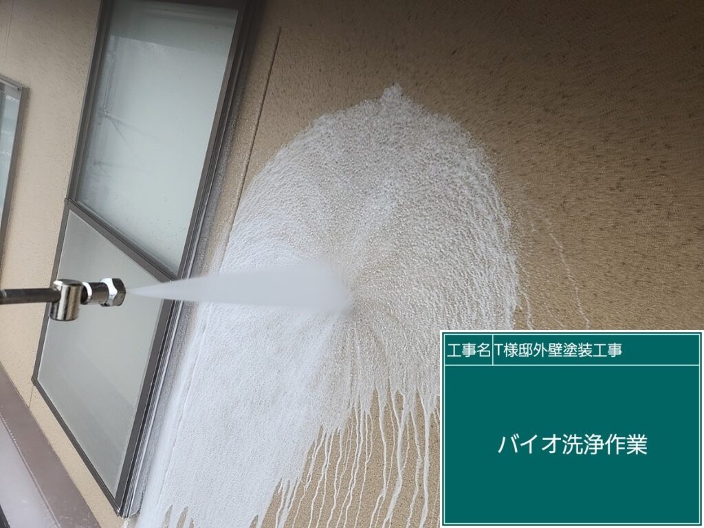 外壁バイオ洗浄