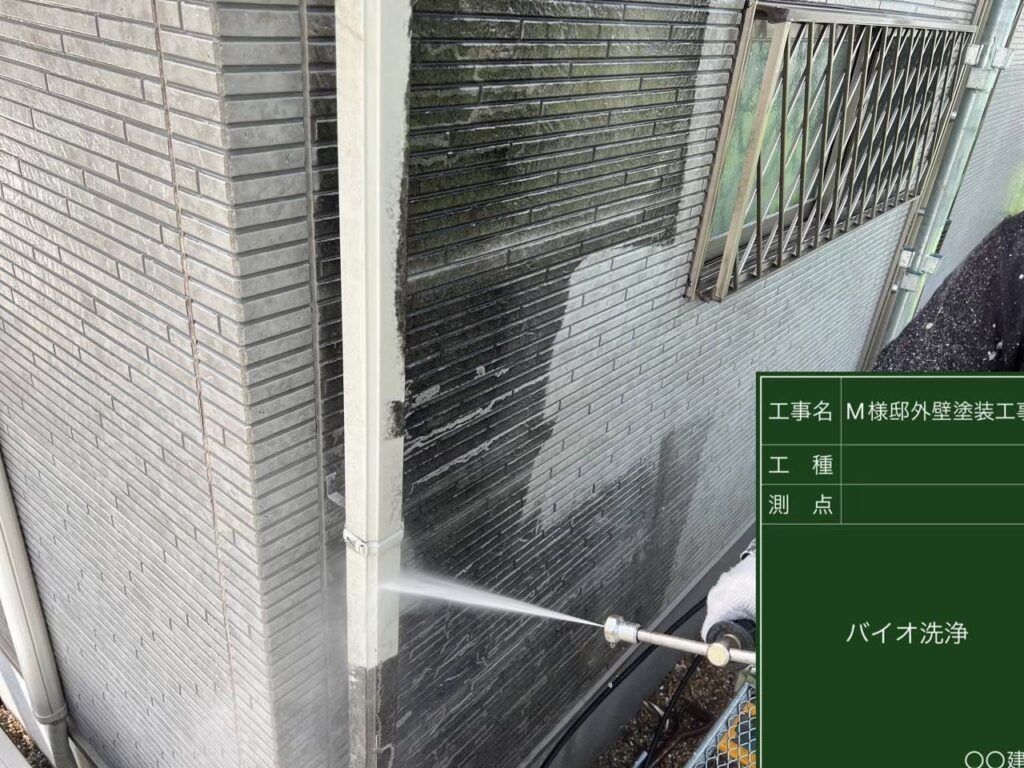 コケカビが目立っていた箇所をバイオ洗浄