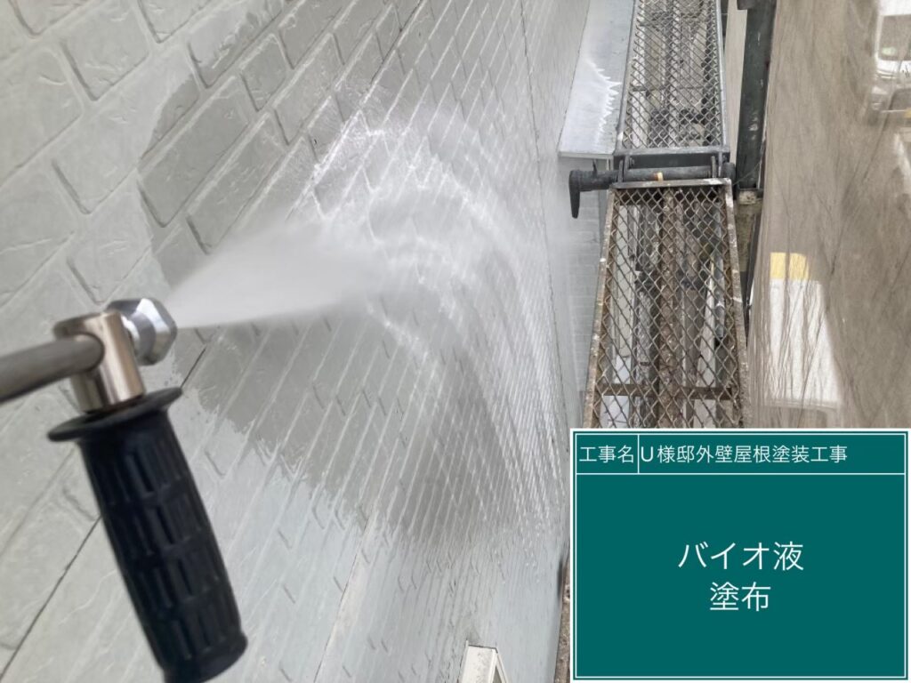 外壁バイオ洗浄