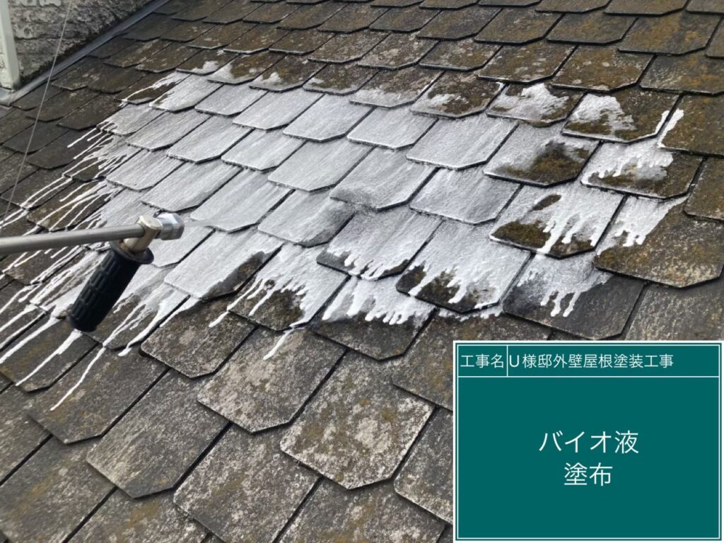 屋根バイオ洗浄